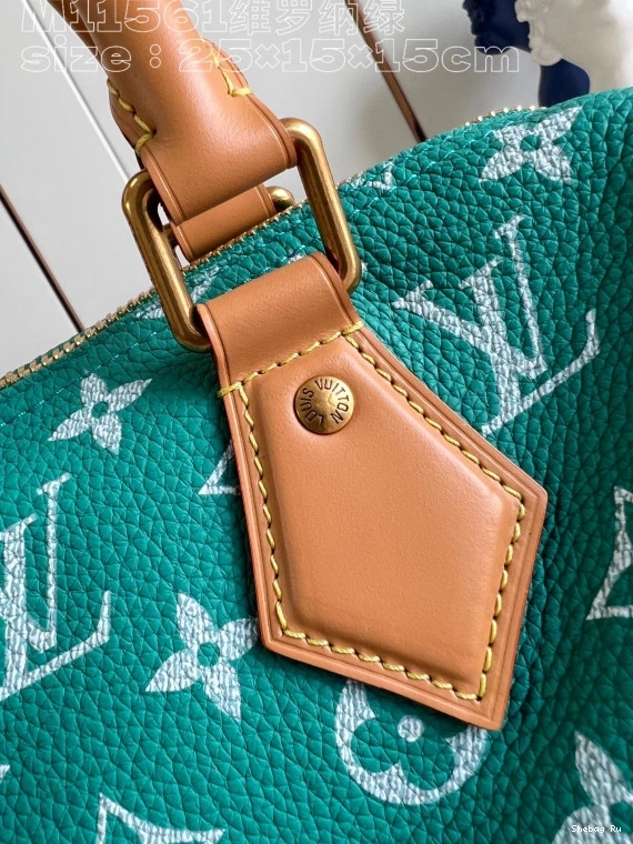 Vuitton 25 SPEEDY Louis 0810
